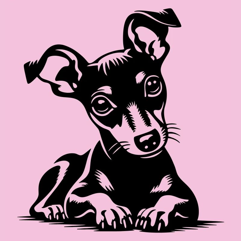 Pinscher nain