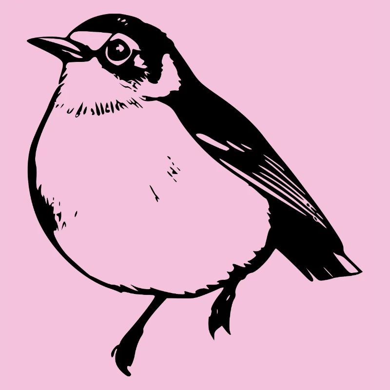 Vogel schwarz schwarzer Vogel