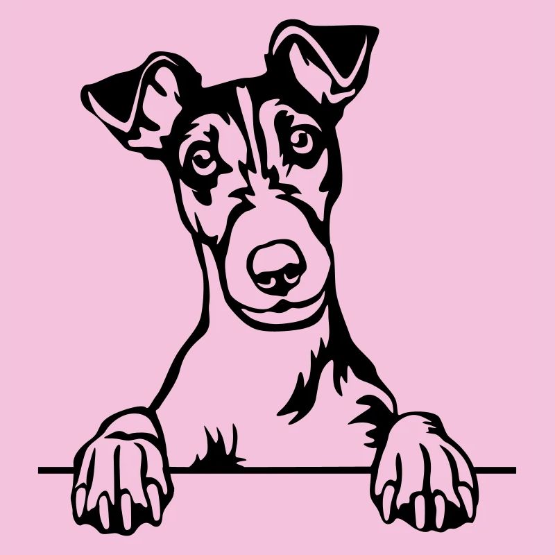 Foxterrier Kopf