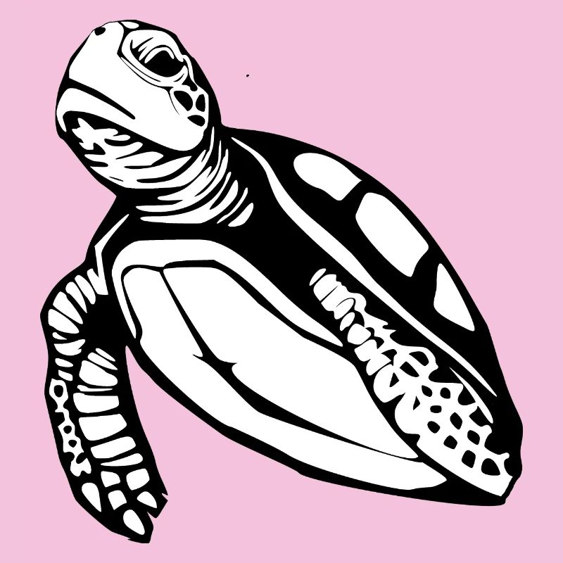 Turtle Turtles T-shirt Gift