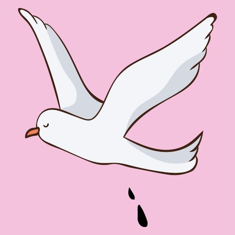 Möwe