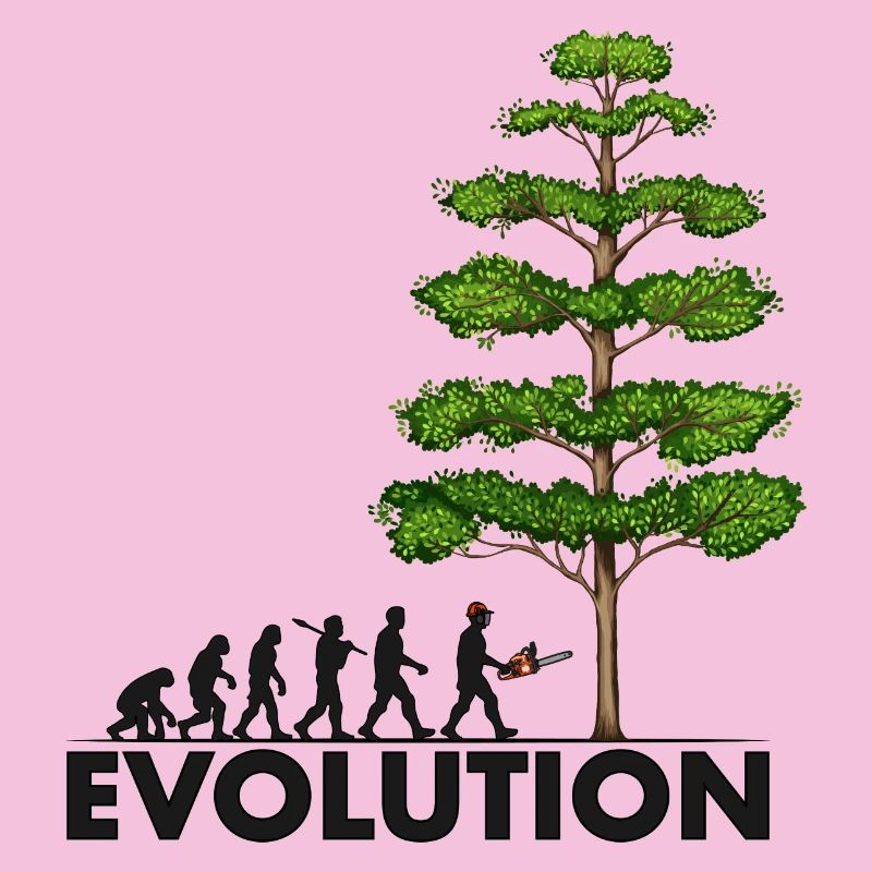 Tronçonneuse Evolution Grey Big Tree