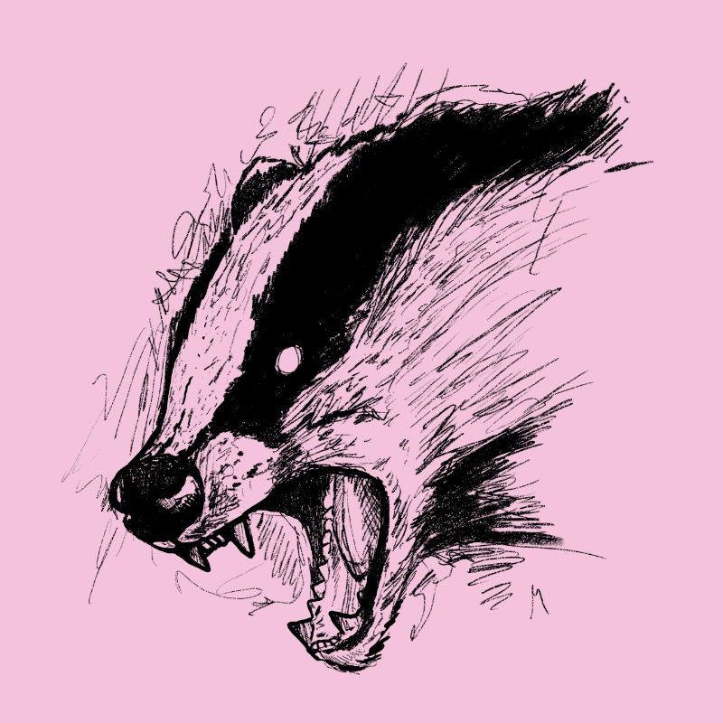 Dachs