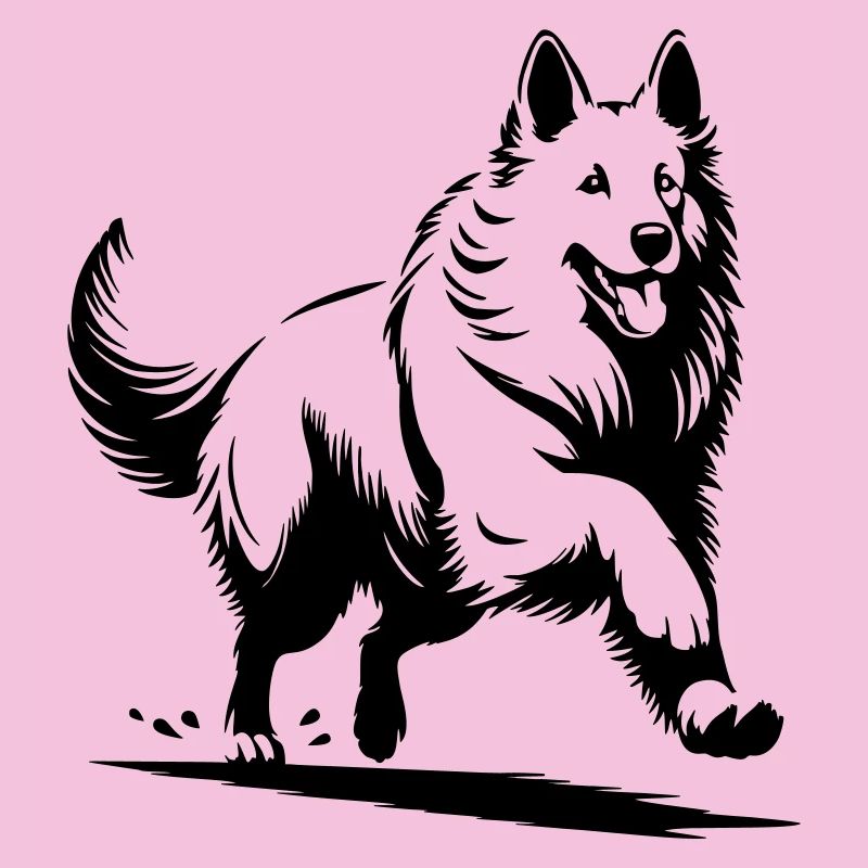 Schweizer Schäferhund