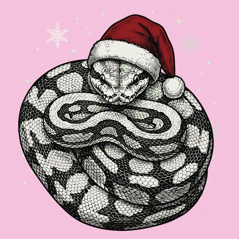 King Python Christmas Ball Python Snake
