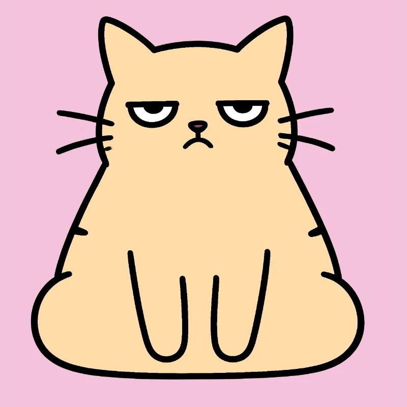 Chat du Salon Grognon