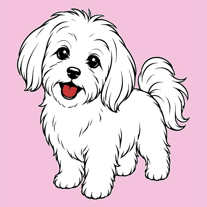 Blanc de chien maltis