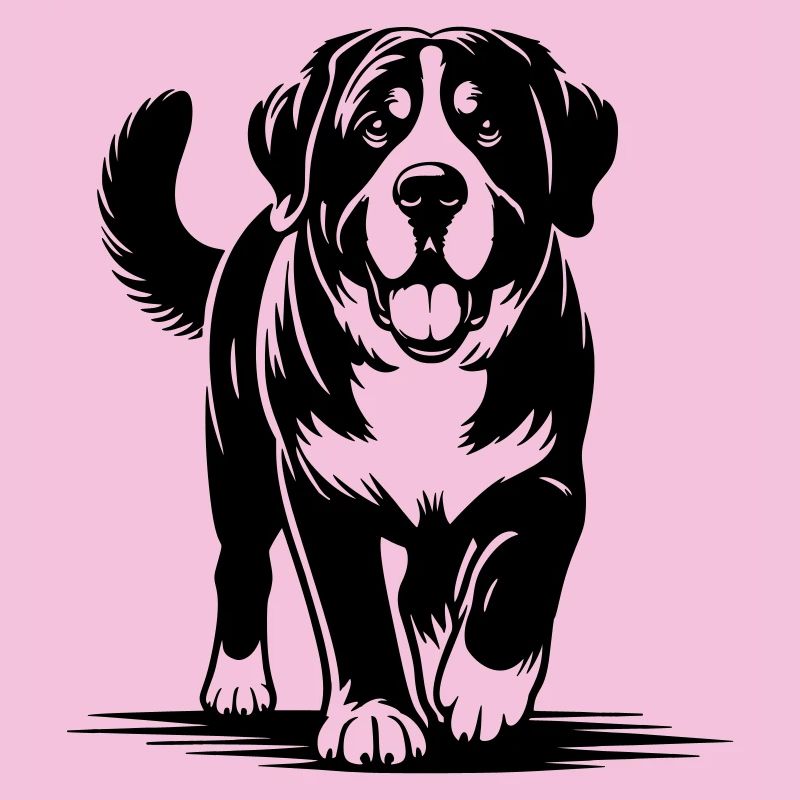 Bouvier suisse