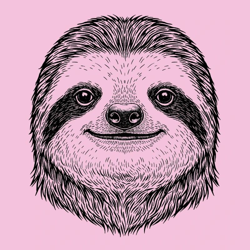 Sloth