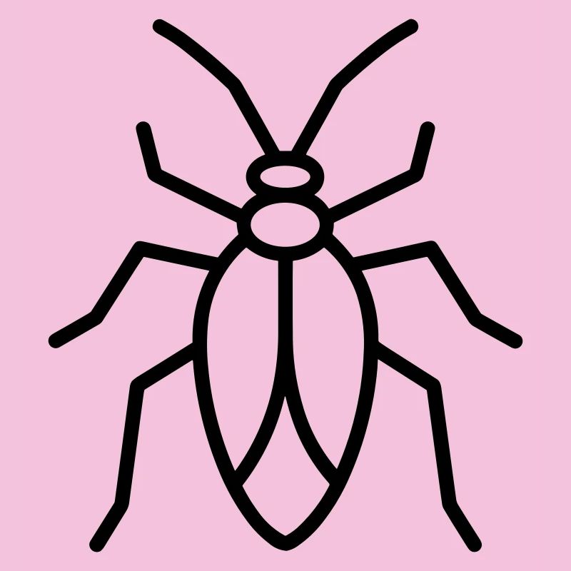 Aphid