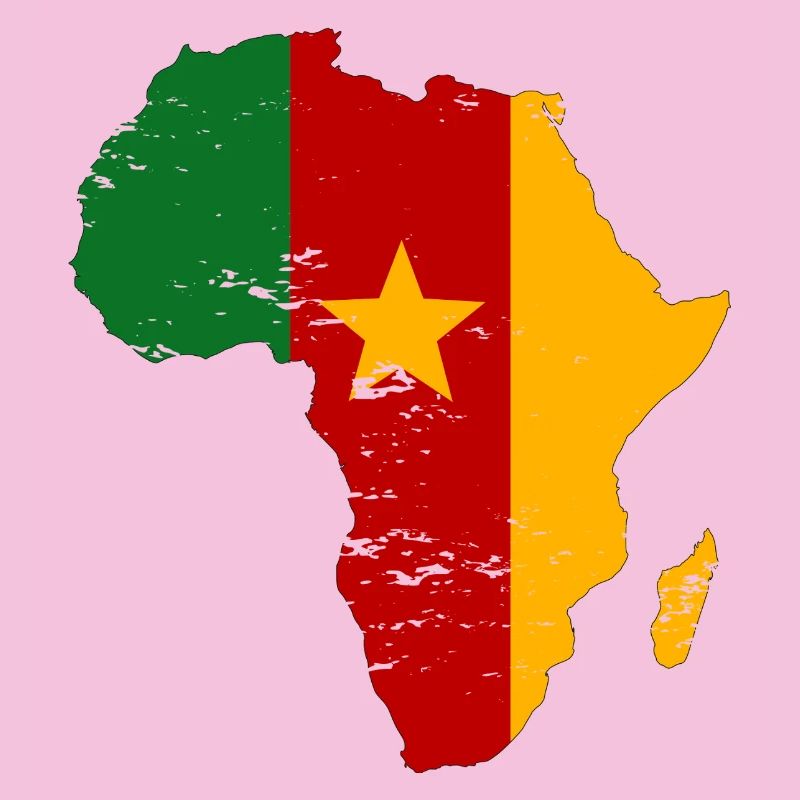 Drapeau du Sénégal Afrique utilisé