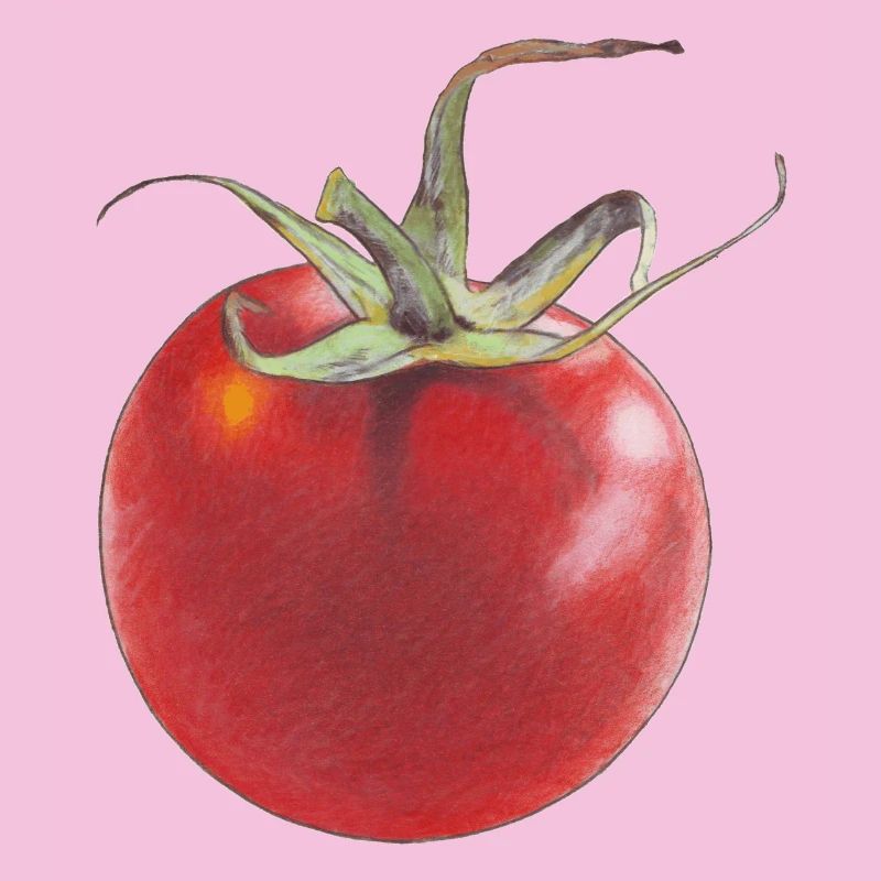 Tomate
