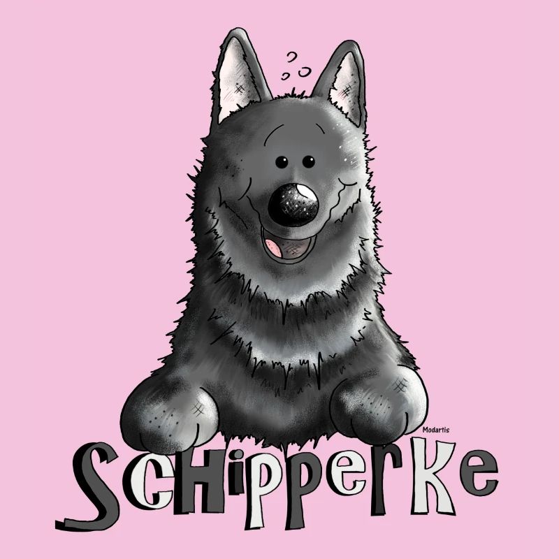 Pfiffiger Schipperke - Hund