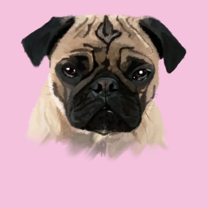 Mops