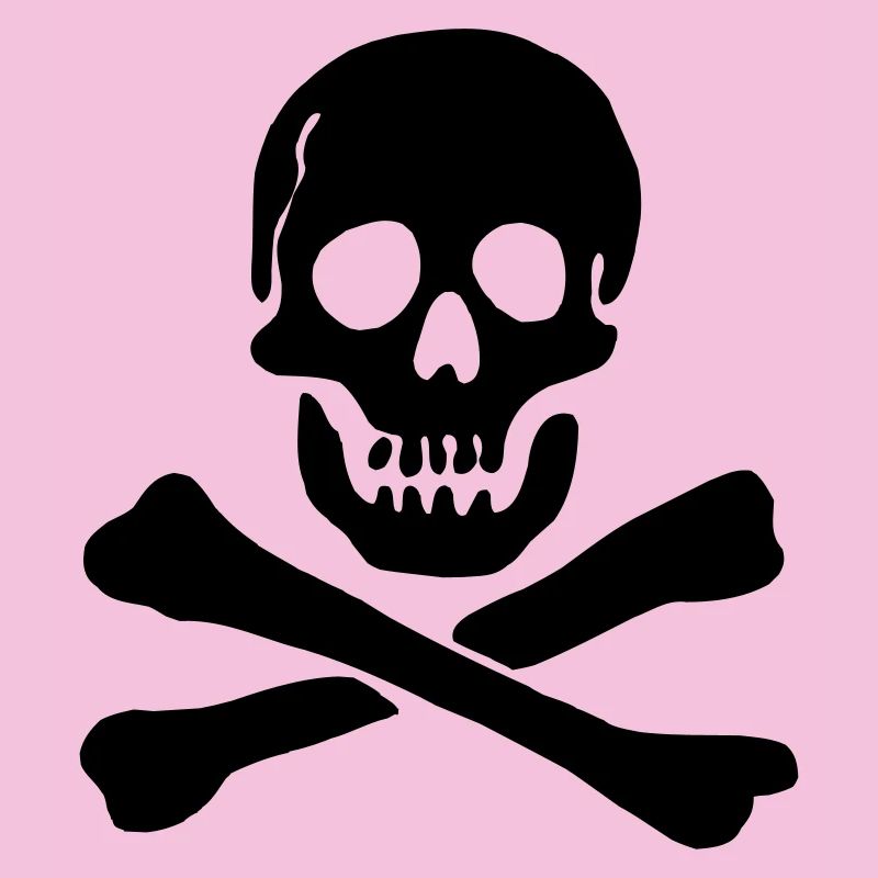 Pirate flag Skull with crossed bones