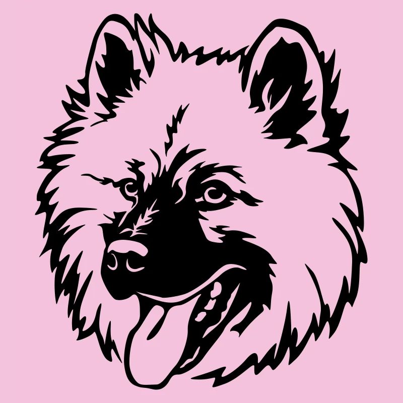 Eurasier Kopf