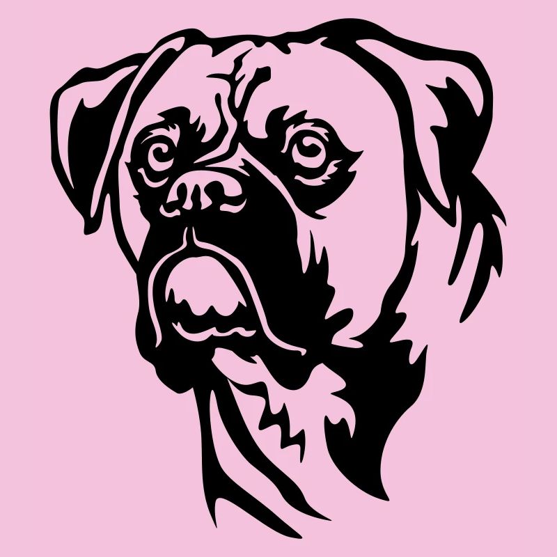 Boxer Kopf