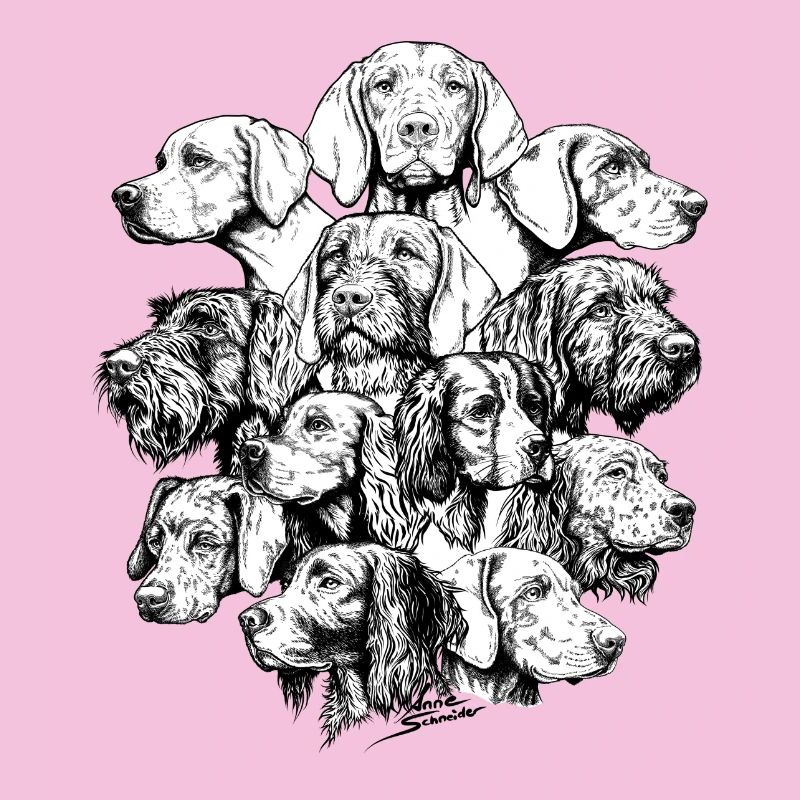 Chiens pointant des objets cachés