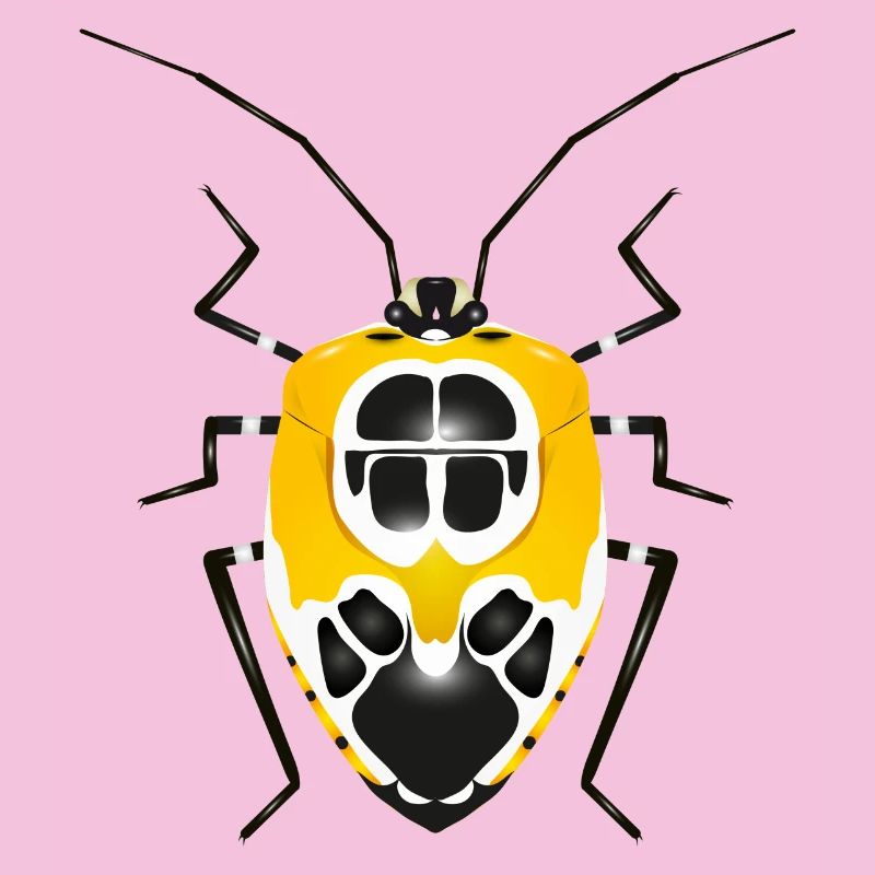 Runibia decorata Insecte rampant effrayant jaune noir