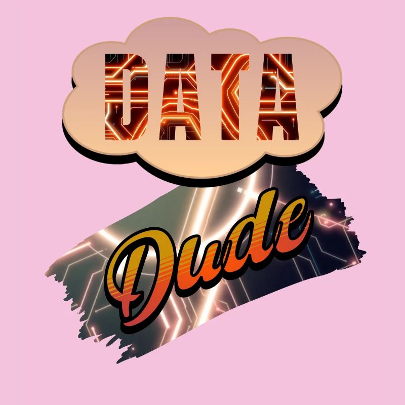 Data Dude