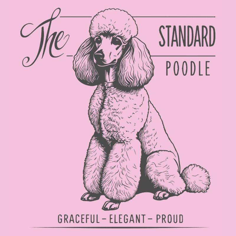 Standard Poodle Elegance and Pride