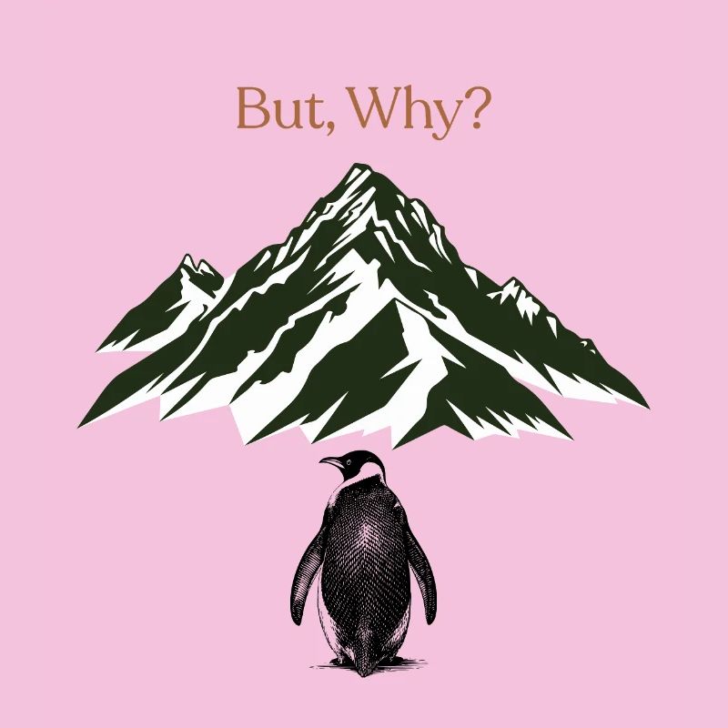But, Why? Berglandschaft