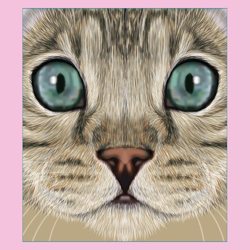 leopard cat