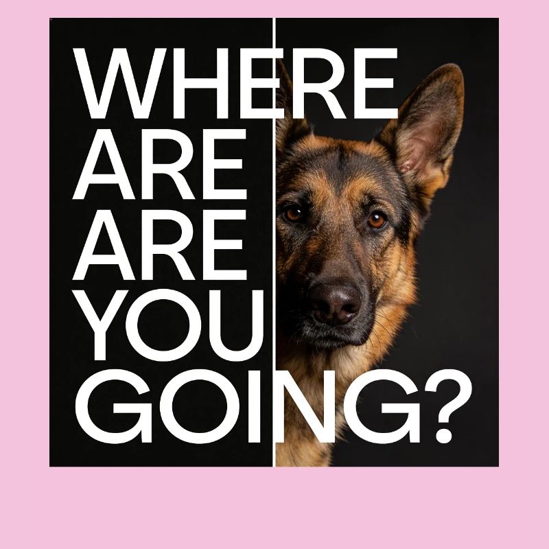 Deutscher Schäferhund Statement Motiv