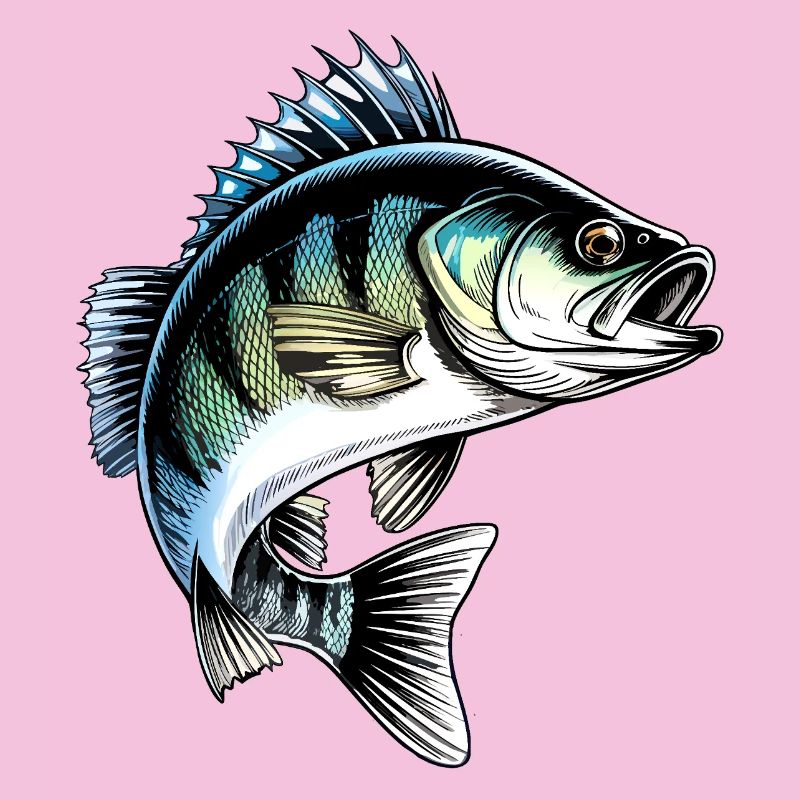 Jumping Perch Dynamic Fish Illustration