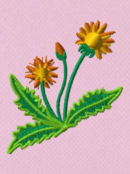 Dandelion
