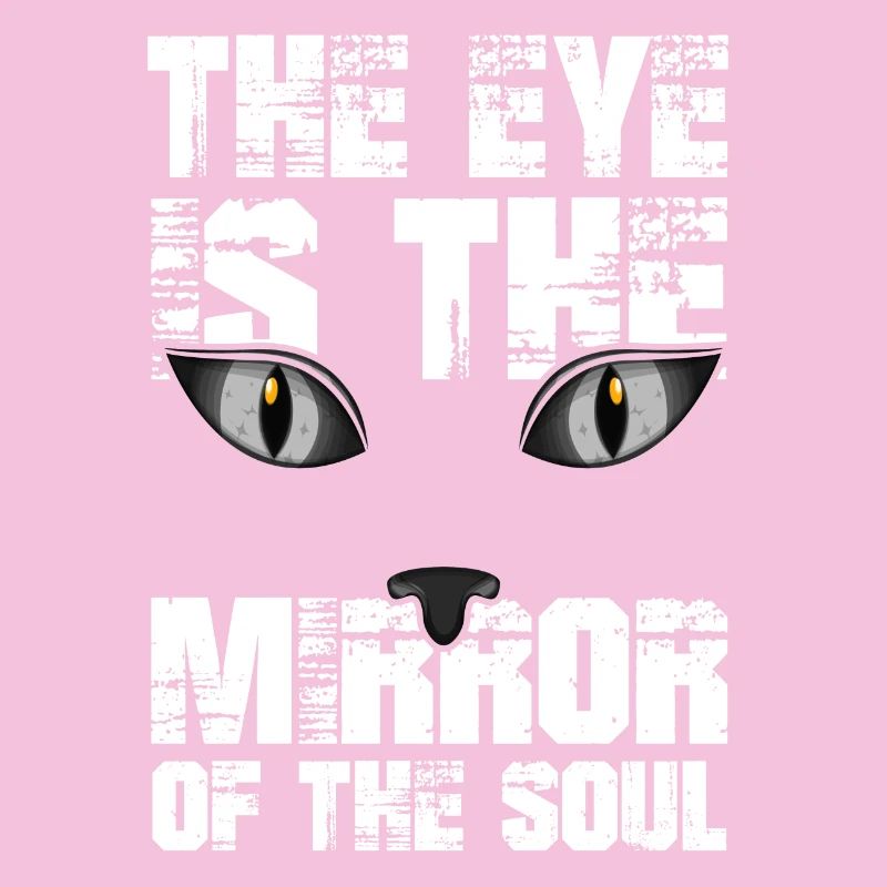 Chat chaton miaou chat domestique oeil de chat