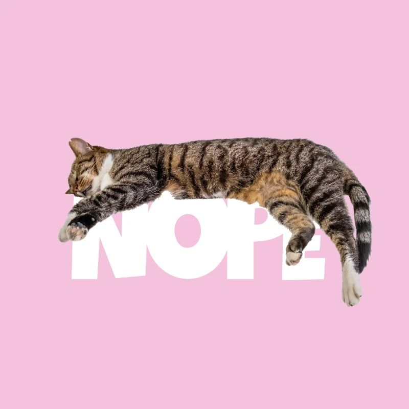Nope cat