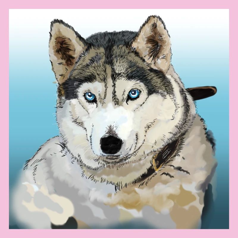 Husky