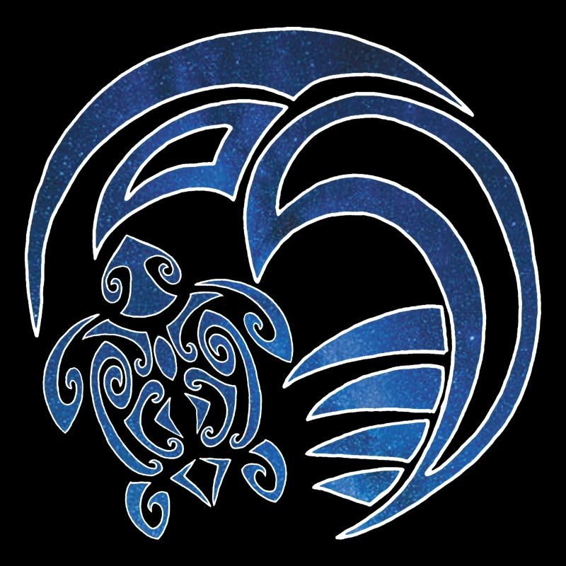 Tortue, océan et ciel étoilé