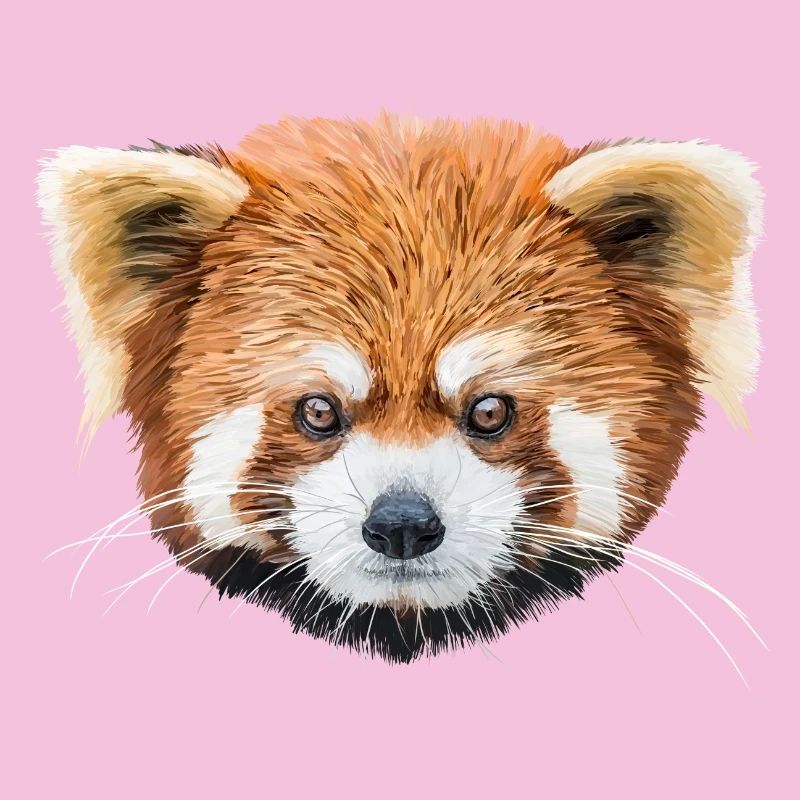 Red panda