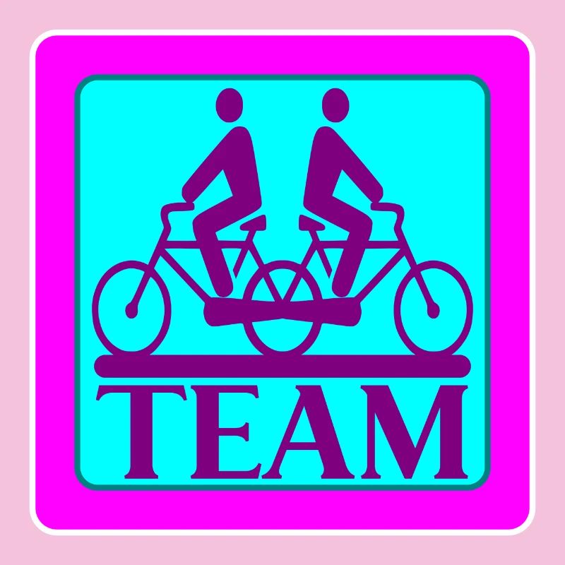 TEAM PROBLEMS - BIKE
