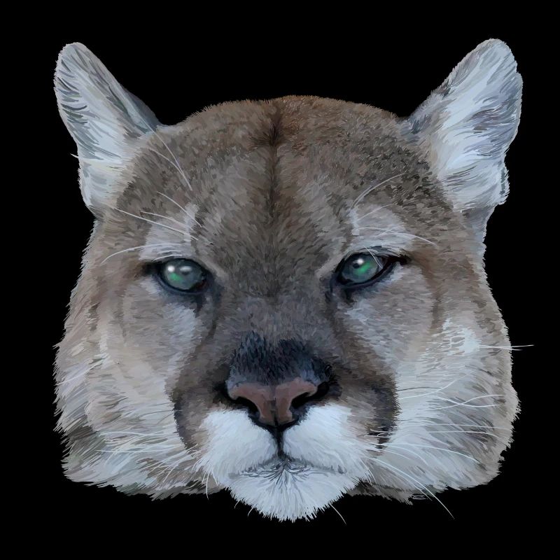 Panthère