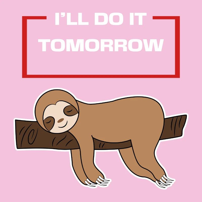 Sloth Statement Hamac Animal Lazy Sleep