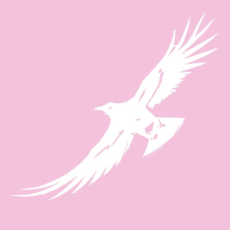 Corbeau volant