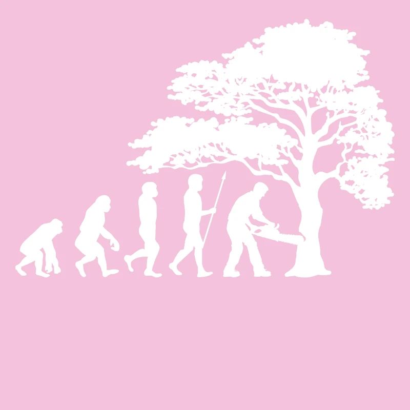 Arbre bois sciure sciure bûcheron boiseries