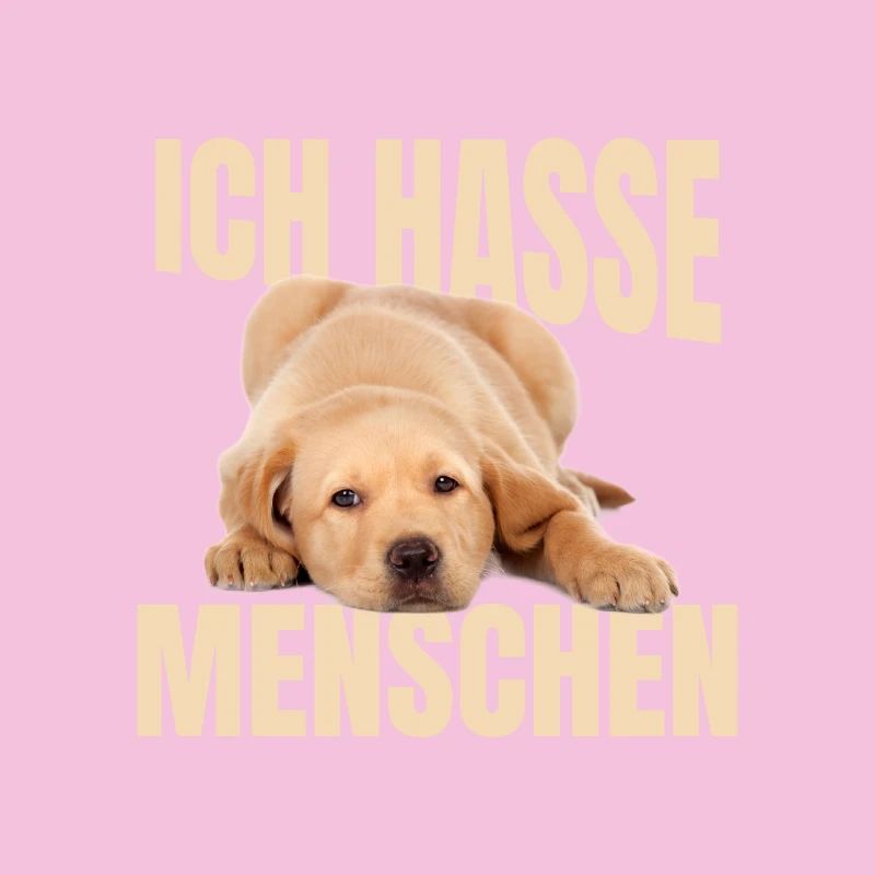 Mème du Labrador