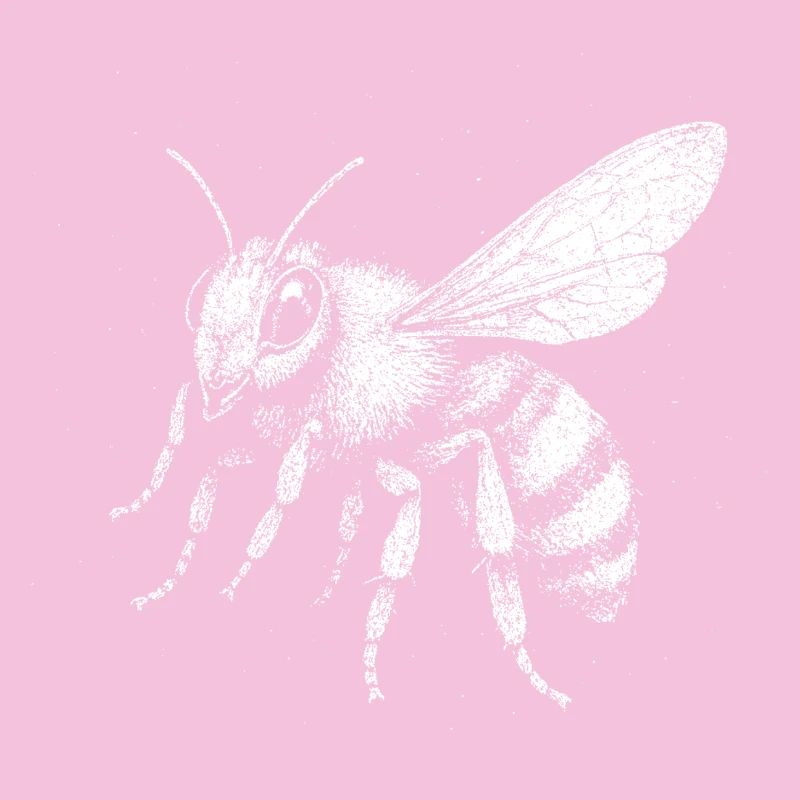 Eine Biene