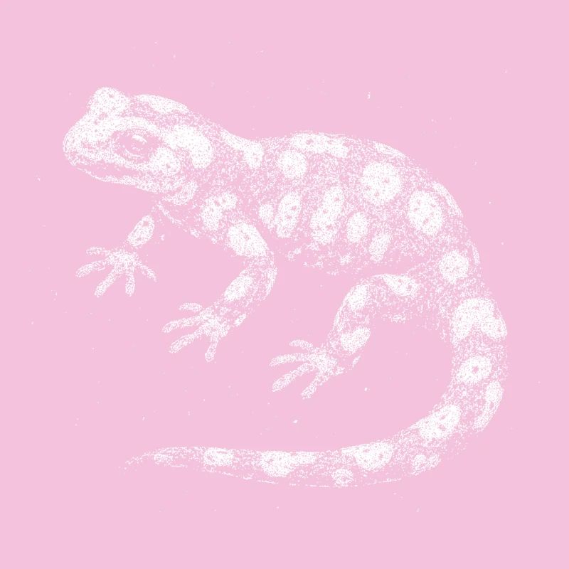 Fire salamander