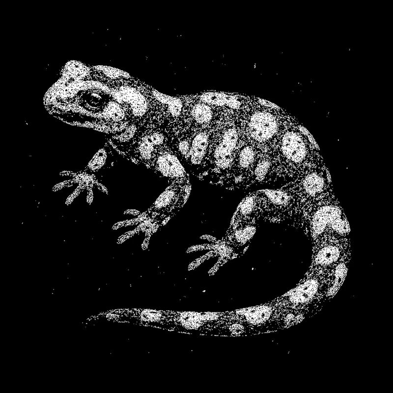 Feuersalamander