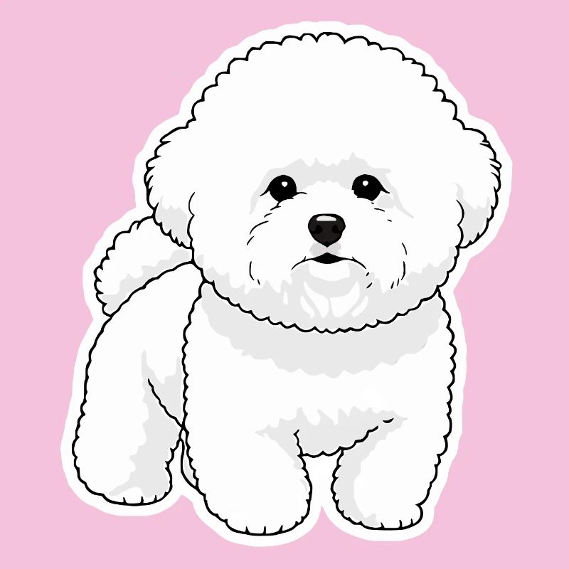 Bichon Mignon 