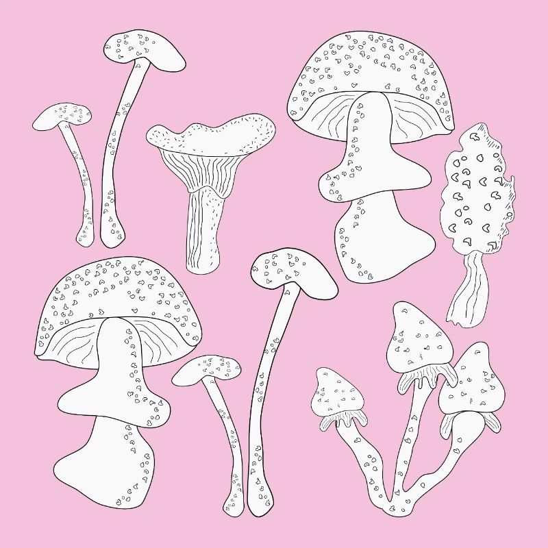 Cueillette de champignons en automne