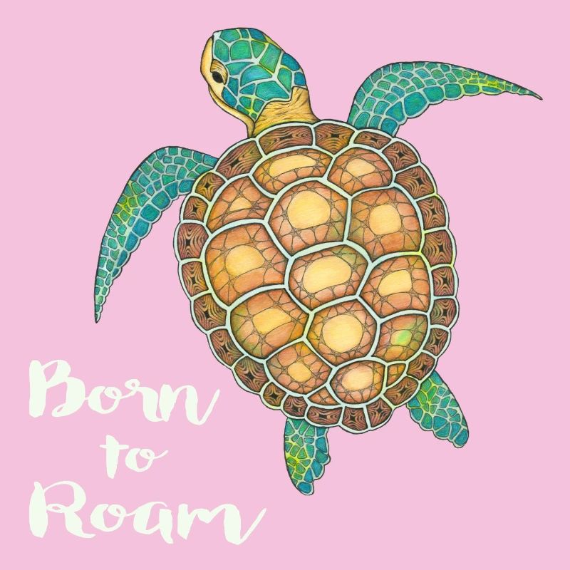 Tortue de mer Née pour errer