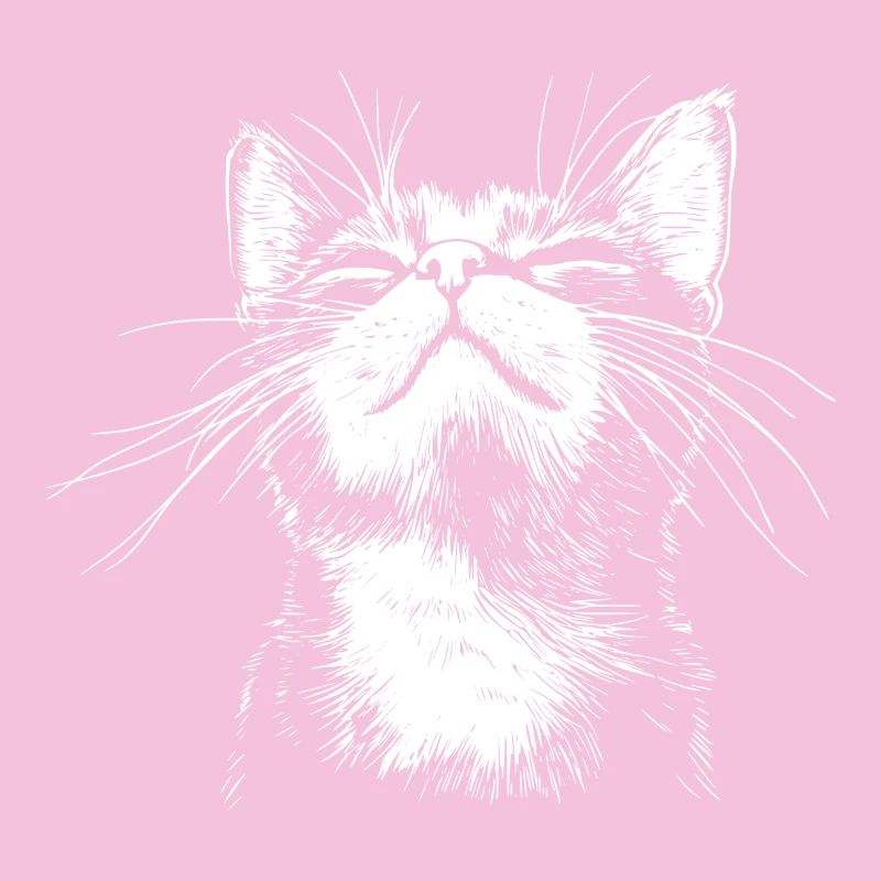 Drôle de Chat