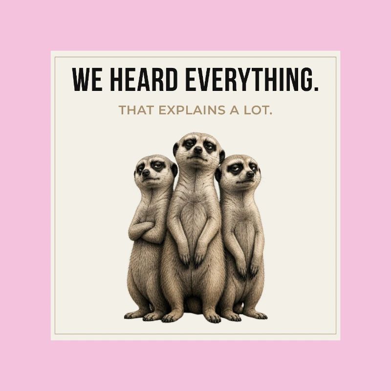We Heard Everything Meerkat Trio
