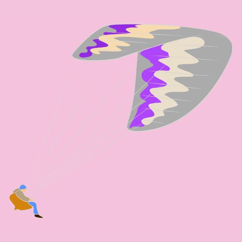 Paraglider